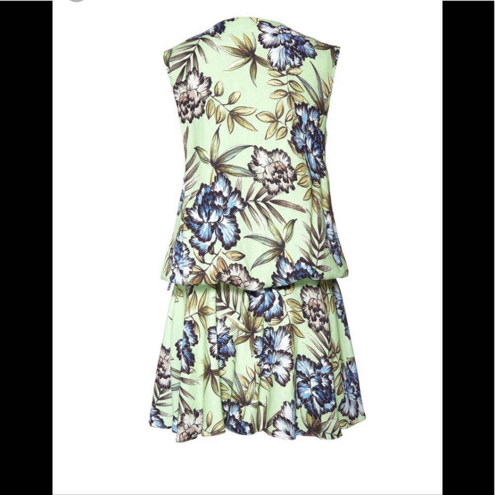 NWT Alice & Olivia floral drop waist dress - Picture 4 of 6